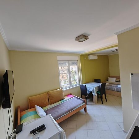 Apartments Popovic Belgrado Buitenkant foto