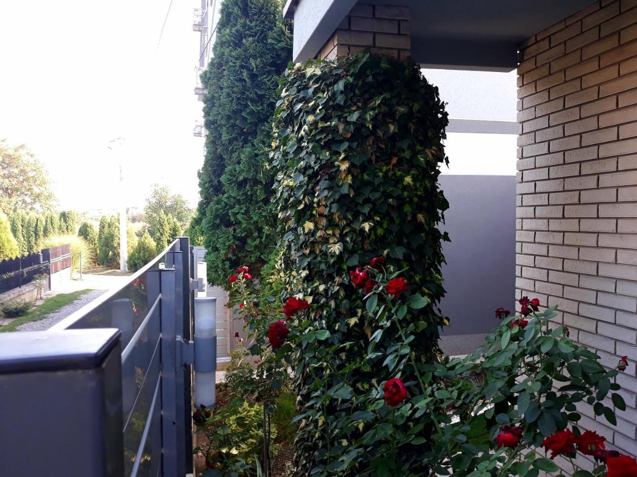 Apartments Popovic Belgrado Buitenkant foto